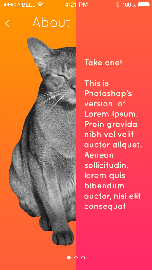 T3 welcome screen with a split photo of two people, Gallery and Start options