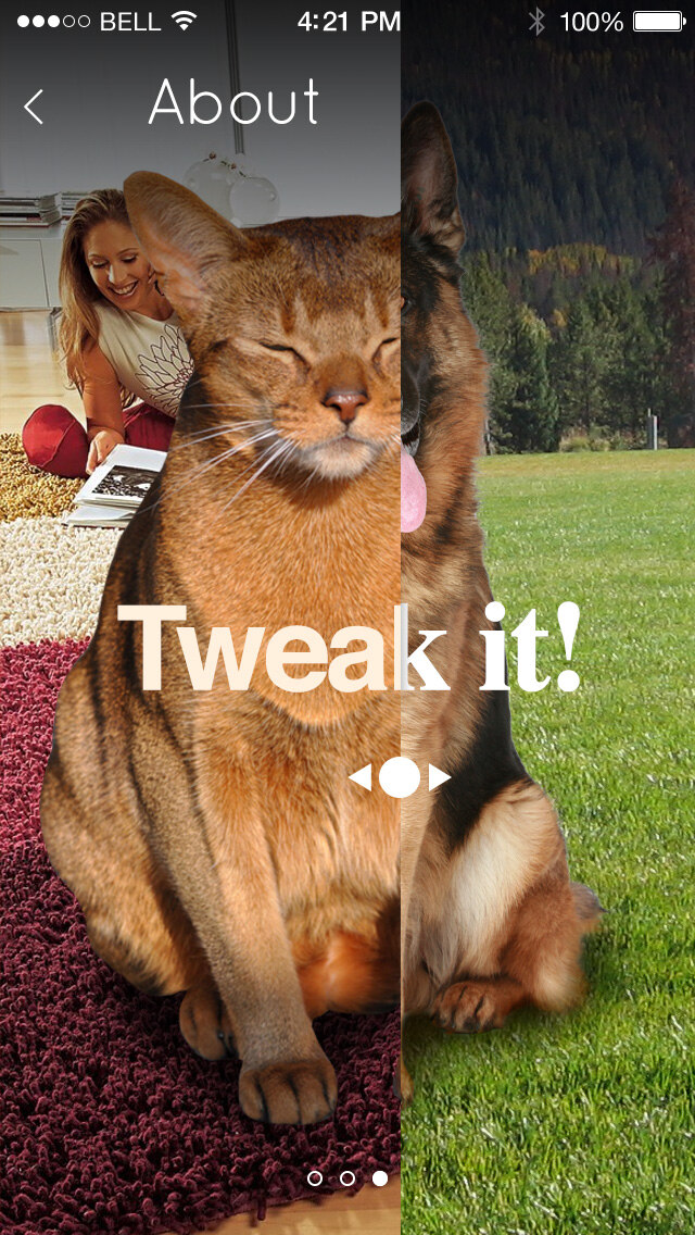 T3 blend screen reading Tweak it, showing a cat and dog photo blended together with a slider control