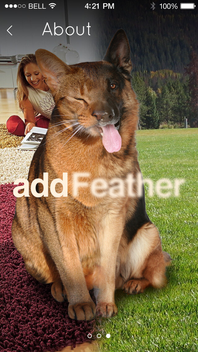 T3 result screen reading add Feather, showing the finished blended photo